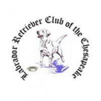 Labrador Retriever Club of the Chesapeake