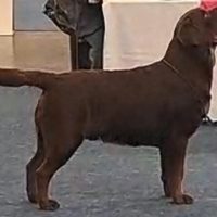 Charlie