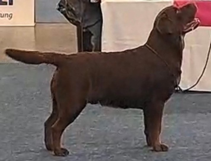 Charlie